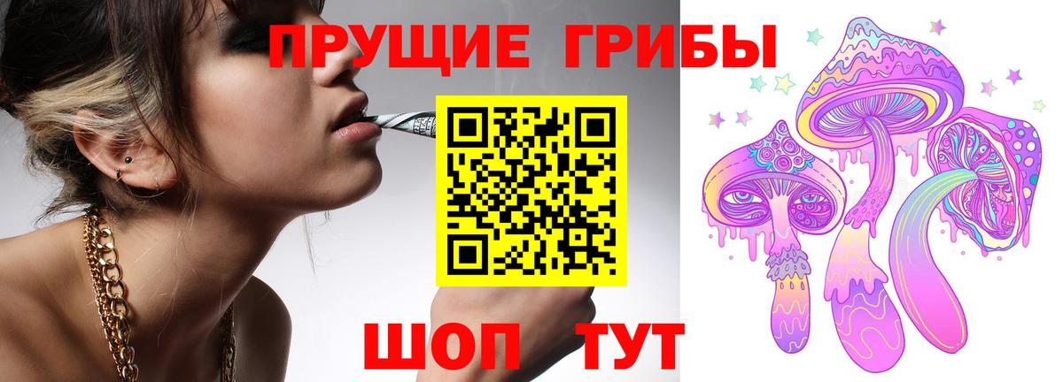 Знаменск  Псилоцибиновые грибы ЛСД  Вход с VPN  купить наркотики сайты  Псилоцибиновые грибы Magic Shrooms 